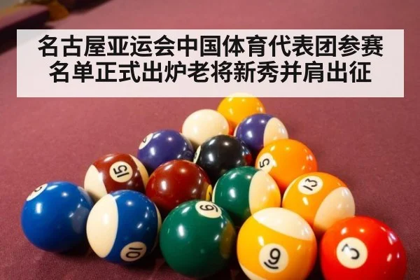 名古屋亚运会中国体育代表团参赛名单正式出炉老将新秀并肩出征