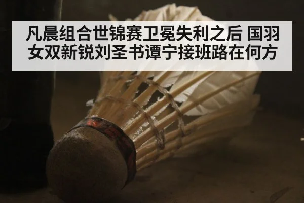 凡晨组合世锦赛卫冕失利之后 国羽女双新锐刘圣书谭宁接班路在何方