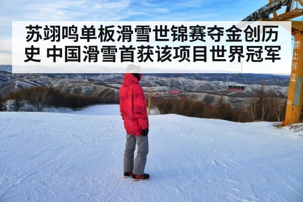 苏翊鸣单板滑雪世锦赛夺金创历史 中国滑雪首获该项目世界冠军