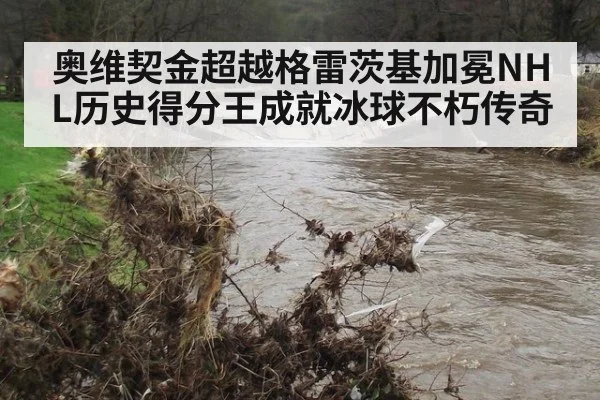奥维契金超越格雷茨基加冕NHL历史得分王成就冰球不朽传奇